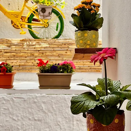 White In Naxos Town Appartamento